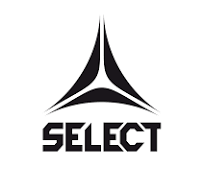 Sponsor logo #3